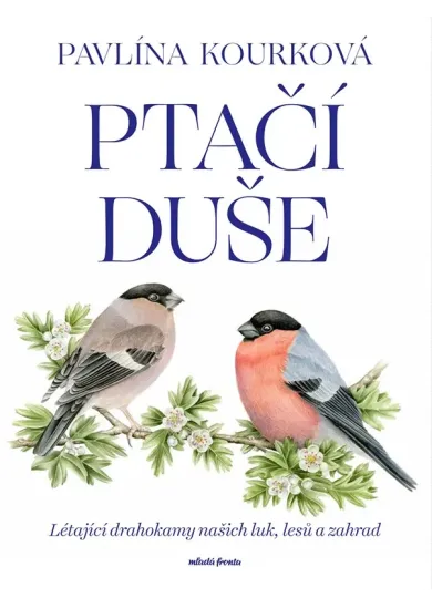 Ptačí duše