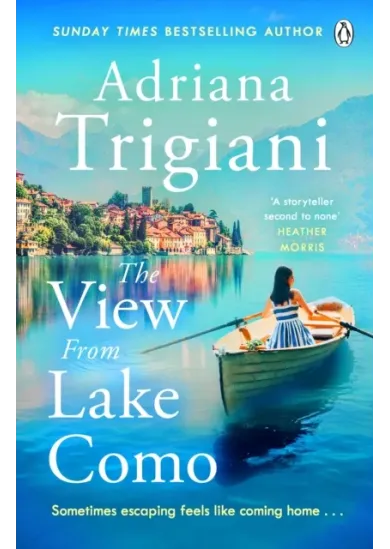 The View from Lake Como