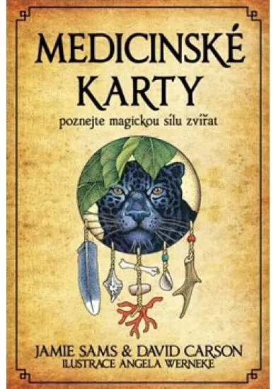 Medicinské karty - Poznejte magickou síl