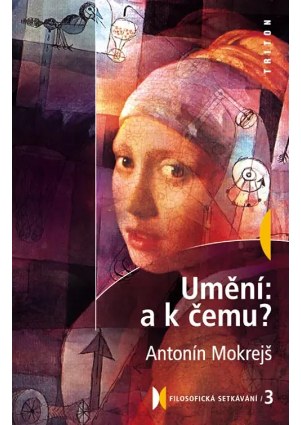 Antonín Mokrejš - Umění: a k čemu?
