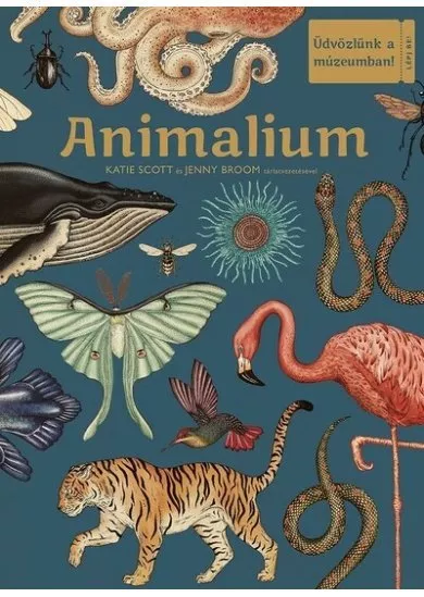 Animalium -  Üdvözlünk a múzeumban!