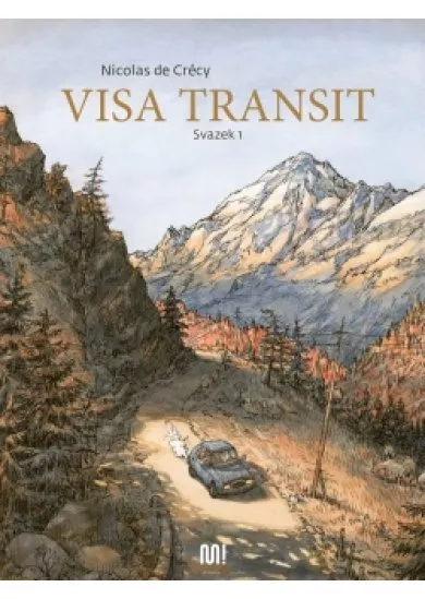 Visa transit