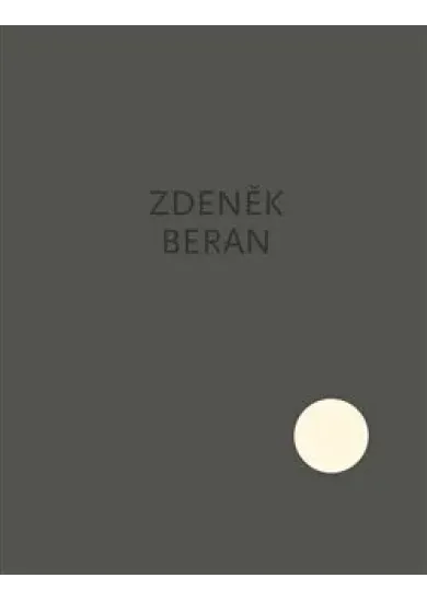 Elevace / Elevation - Zdeněk Beran - Rehabilitační oddělení Dr. Dr.