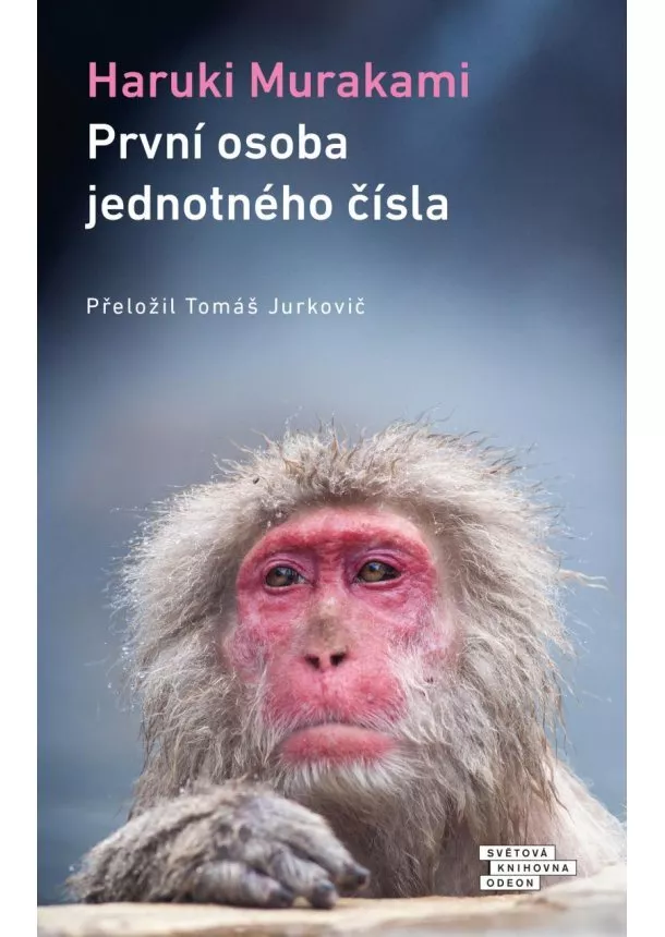 Haruki Murakami - První osoba jednotného čísla