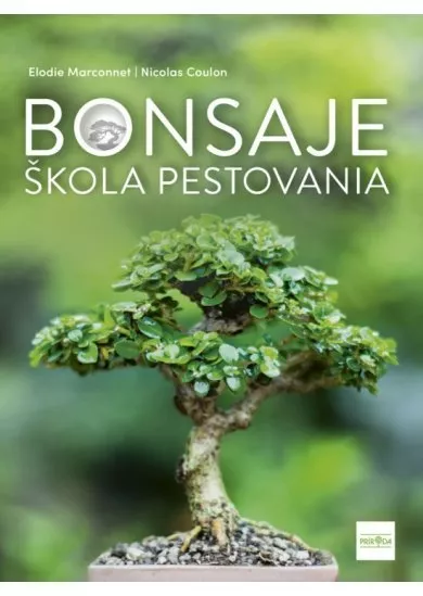 Bonsaje - škola pestovania
