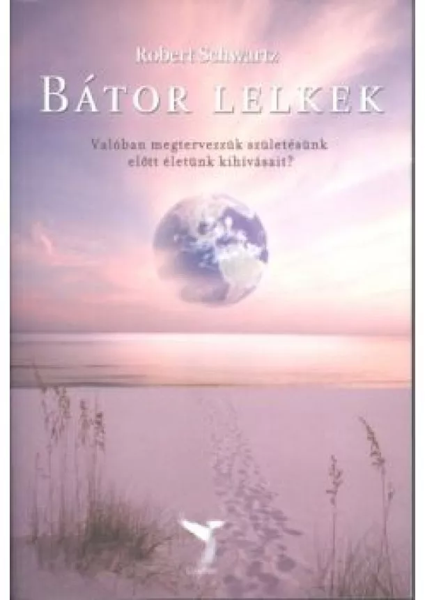 Robert Schwatrtz - Bátor lelkek /Valóban megtervezzük születésünk előtt életünk kihívásait?