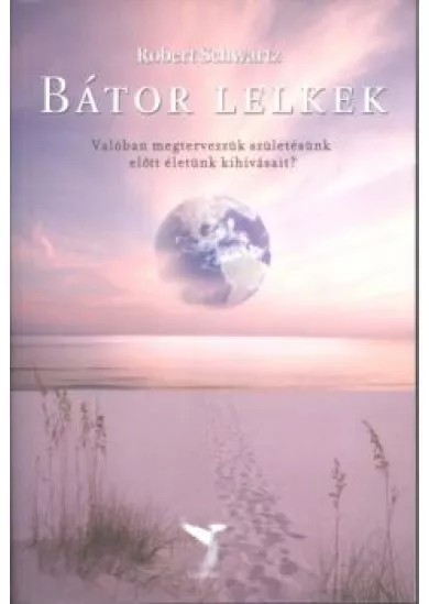 Bátor lelkek /Valóban megtervezzük születésünk előtt életünk kihívásait?