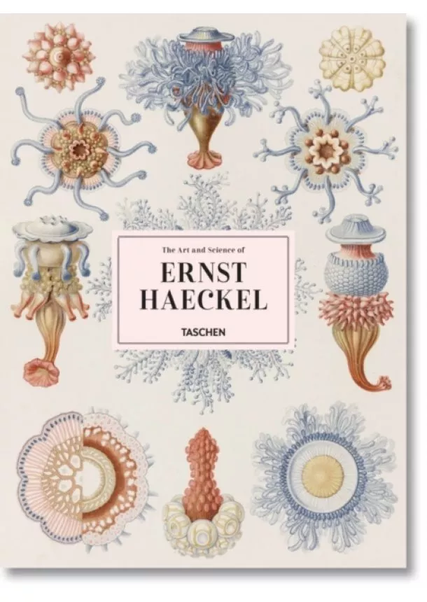 Rainer Willmann, Julia Voss - Haeckel