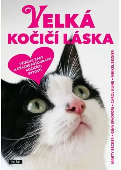 Velká kočičí láska