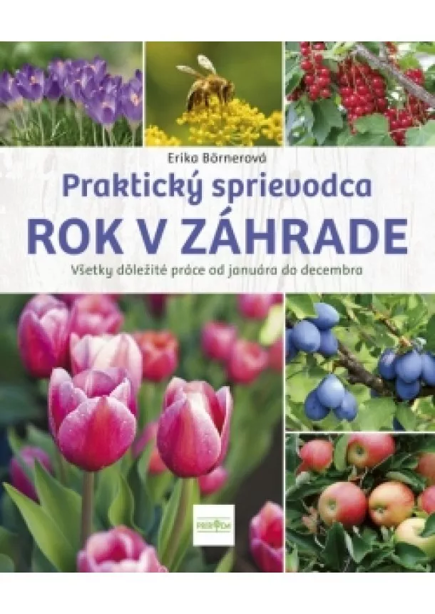 Erika Börnerová - Rok v záhrade