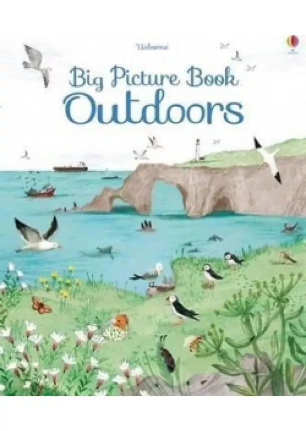 Minna Lacey - Big Picture Book Outdoors