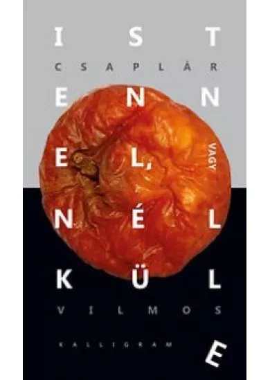 Istennel, vagy nélküle - Gondolatok a reflektív evolúcióról