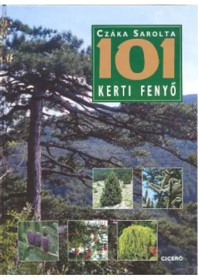 101 KERTI FENYŐ