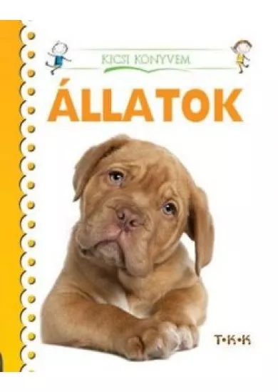 Állatok - Kicsi könyvem