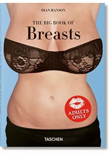 Little Book of Big Breasts