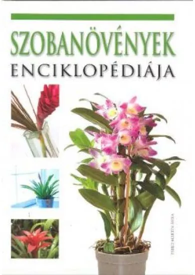 SZOBANÖVÉNYEK ENCIKLOPÉDIÁJA