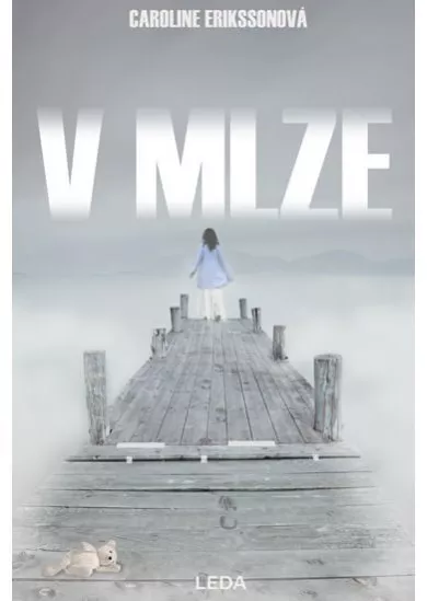 V mlze