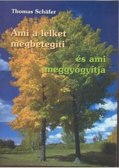 AMI A LELKET MEGBETEGÍTI ÉS AMI MEGGYÓGYÍTJA