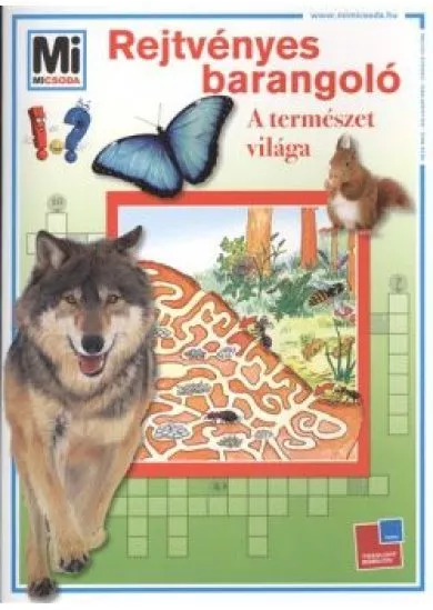 REJTVÉNYES BARANGOLÓ