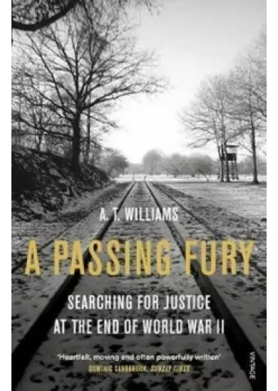 A Passing Fury