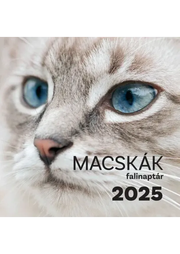 Naptár - Macskák falinaptár 2025