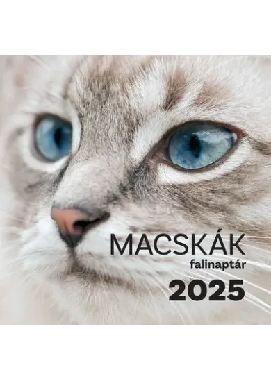 Macskák falinaptár 2025