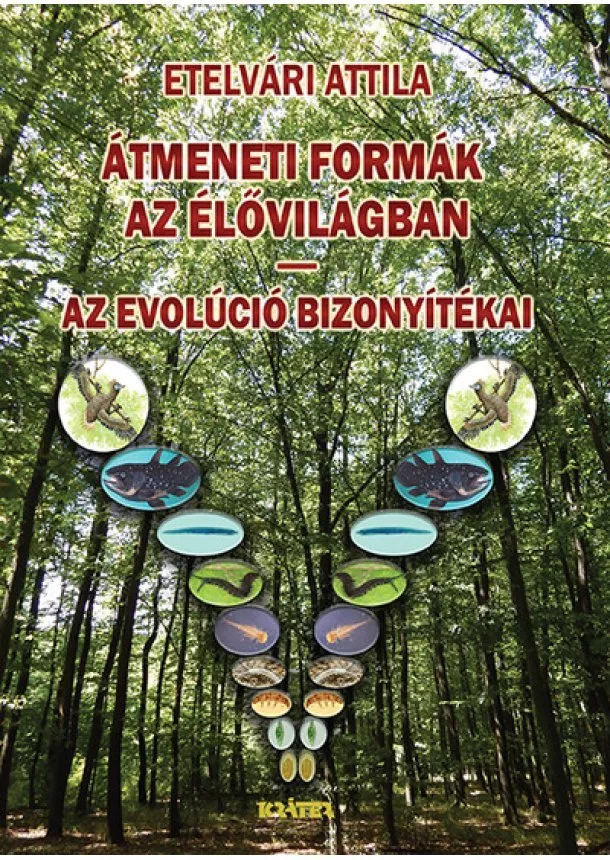 Etelvári Attila - Átmeneti formák az élővilágban - Az evolúció bizonyítékai