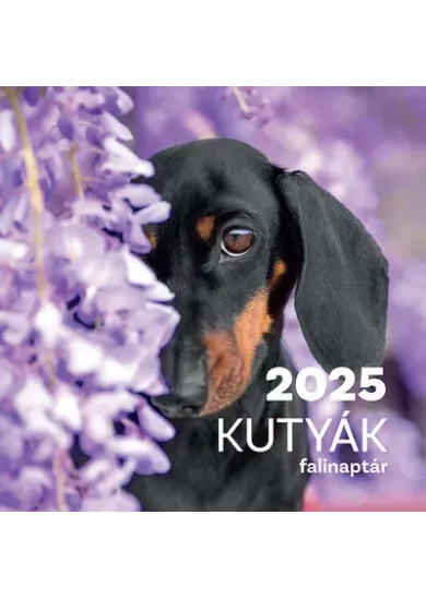 Kutyák falinaptár 2025
