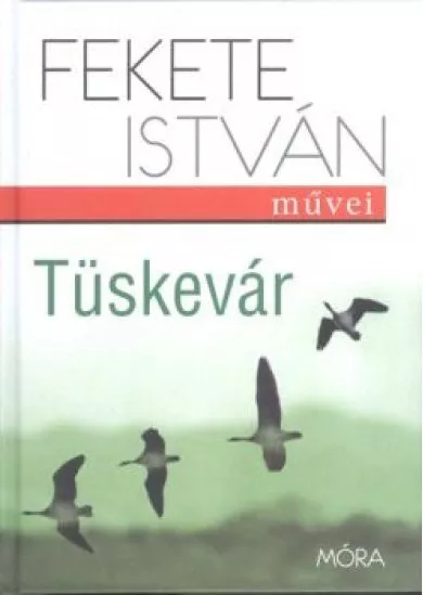 TÜSKEVÁR (16. KIADÁS)
