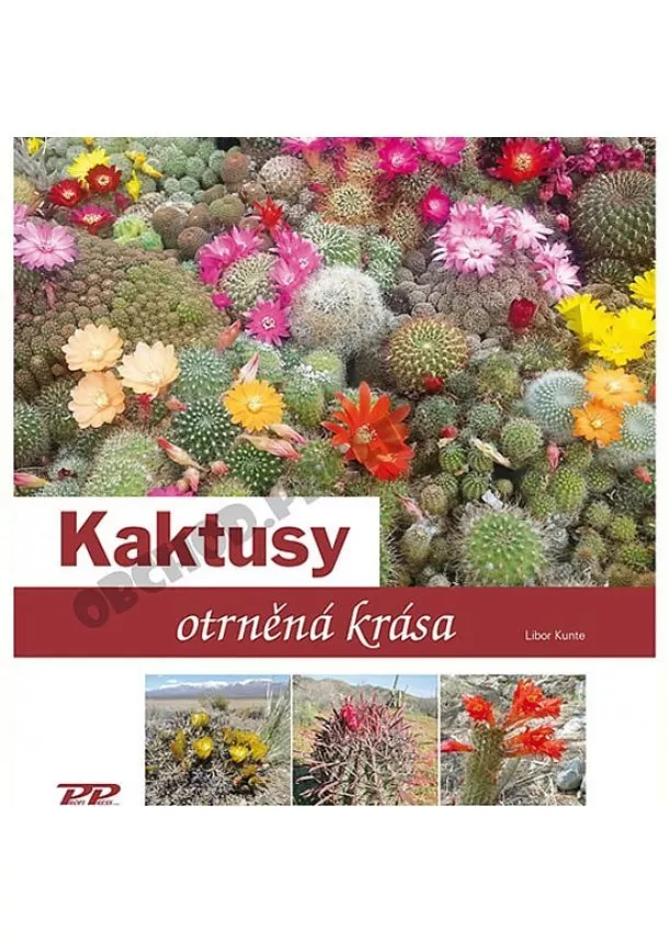 Libor Kunte - Kaktusy - otrněná krása