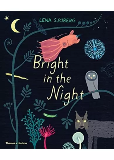 Bright in the Night