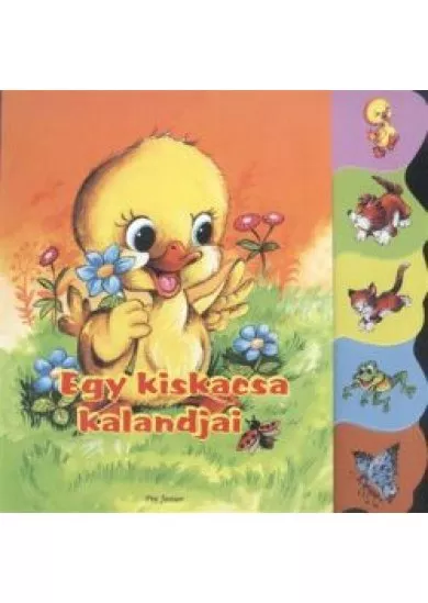 Egy kiskacsa kalandjai