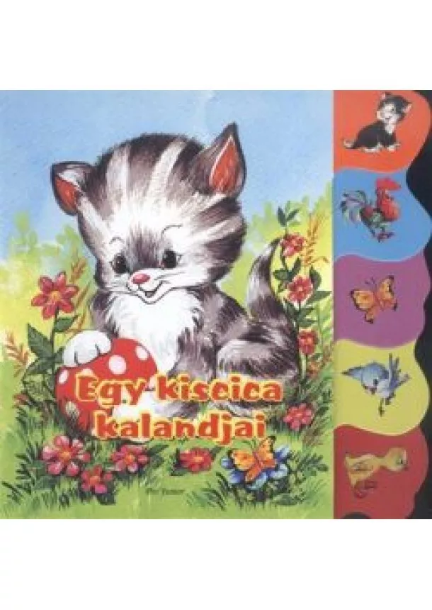 LAPOZÓ - EGY KISCICA KALANDJAI