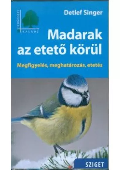 Madarak az etető körül - Megfigyelés, meghatározás, etetés /Természet kalauz