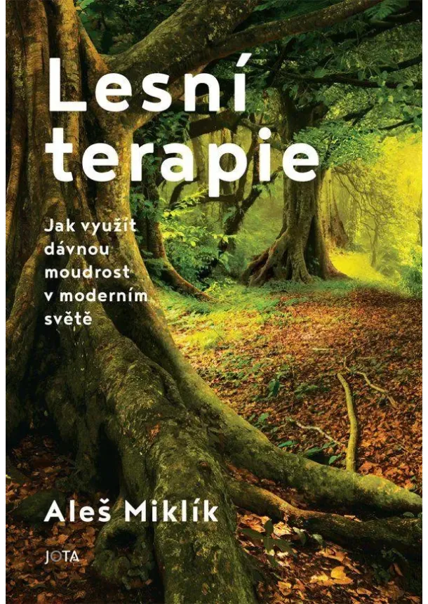 Lesní terapie - Jak využít dávnou moudrost v moderním světě