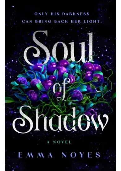 Soul of Shadow