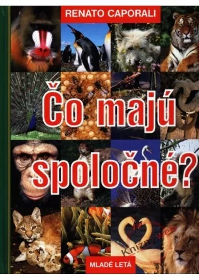 Čo majú spoločné?