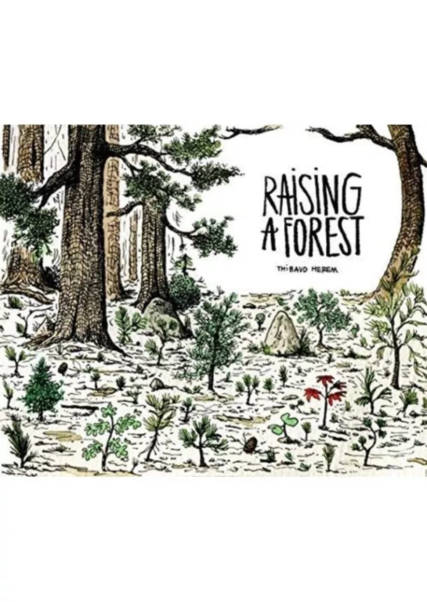 Thibaud Herem - Raising a Forest