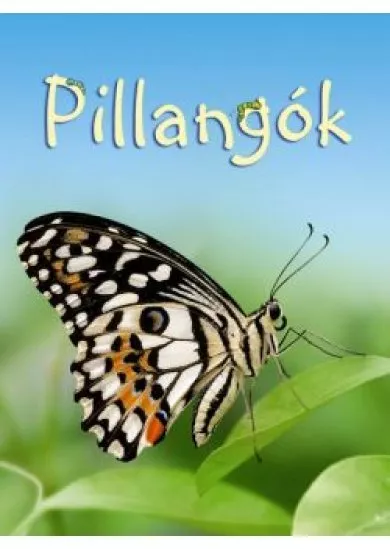 Pillangók  - Kis könyvtár