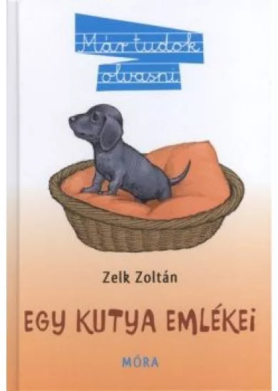 EGY KUTYA EMLÉKEI