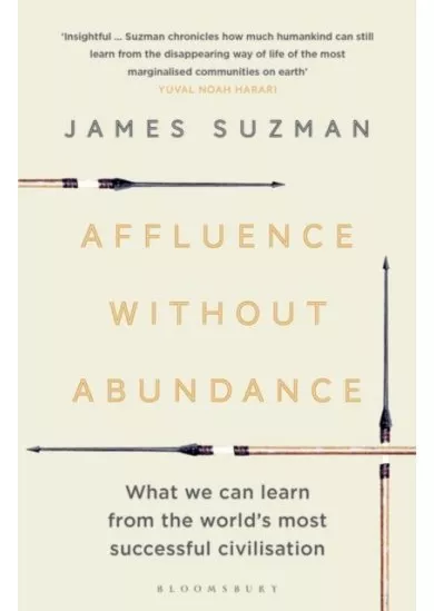 Affluence without Abundance