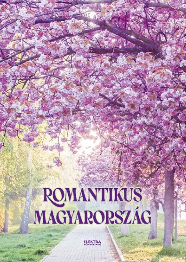 Bernáth István - Romantikus Magyarország