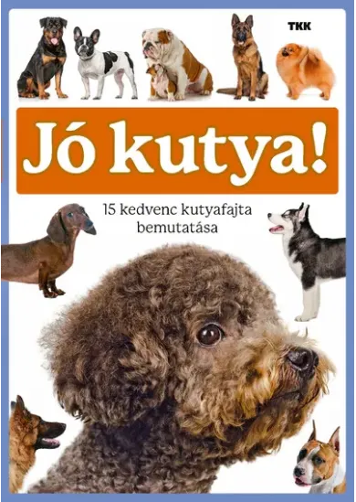 Jó kutya! - 15 kedvenc kutyafajta bemutatása
