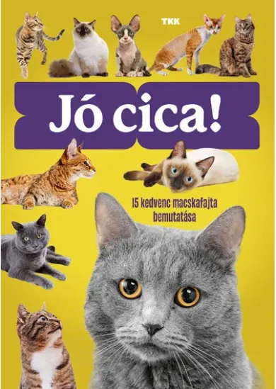 Jó cica! - 15 kedvenc macskafajta bemutatása