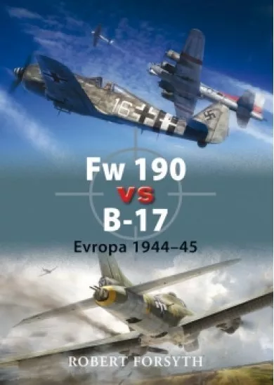 Fw 190 vs B-17 - Evropa 1944-45