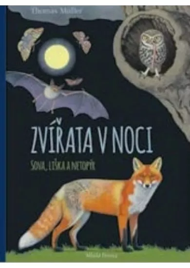Zvířata v noci