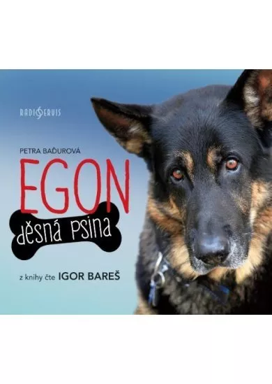 Egon: Děsná psina - CDmp3 (Čte Igor Bareš)