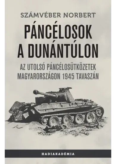 Páncélosok a Dunántúlon - Az utolsó páncélosütközetek Magyarországon 1945 tavaszán - Hadiakadémia