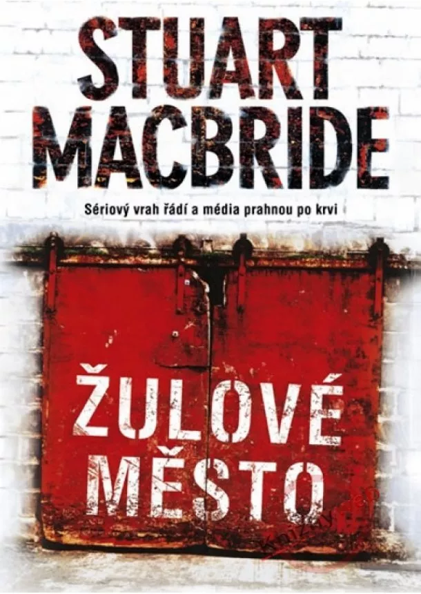 Stuart MacBride - Žulové město