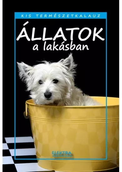 Állatok a lakásban